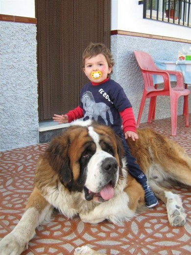 IKER y BEETHOVEN
"DOS AMIGOS INSEPARABLES"